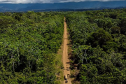Amazonía en peligro: 226 defensores indígenas amenazados por proteger sus tierras en Ucayali