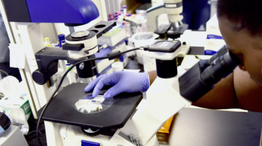 IA de Harvard redefine el diagnóstico del cáncer con una precisión del 94%