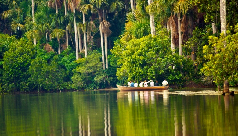 Perú celebra el Día de la Amazonía Peruana: Una nueva ley busca reconocer su vital importancia ambiental y cultural