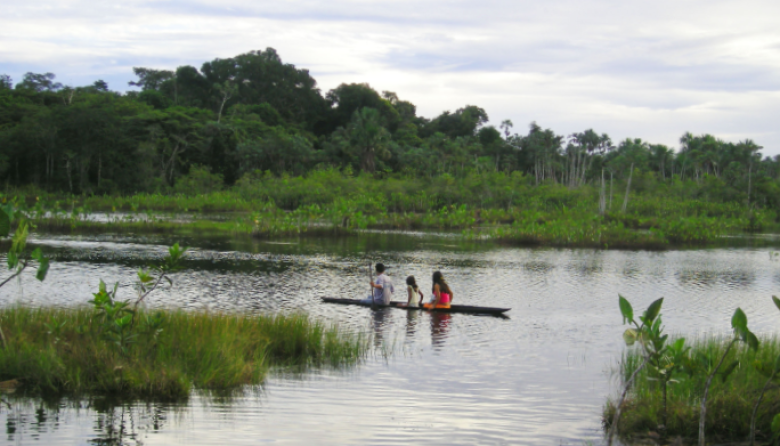 Descubren seis nuevas especies en la Amazonía peruana gracias al pueblo urarina