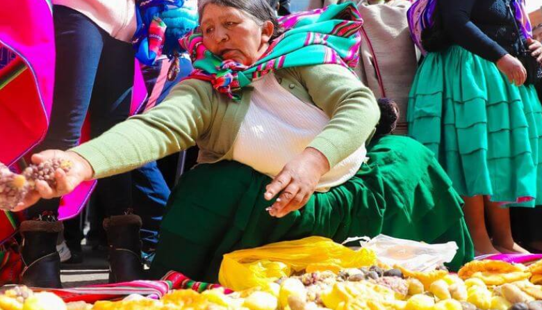 Puno va por récord Guinness con el Qoqawi más largo del mundo
