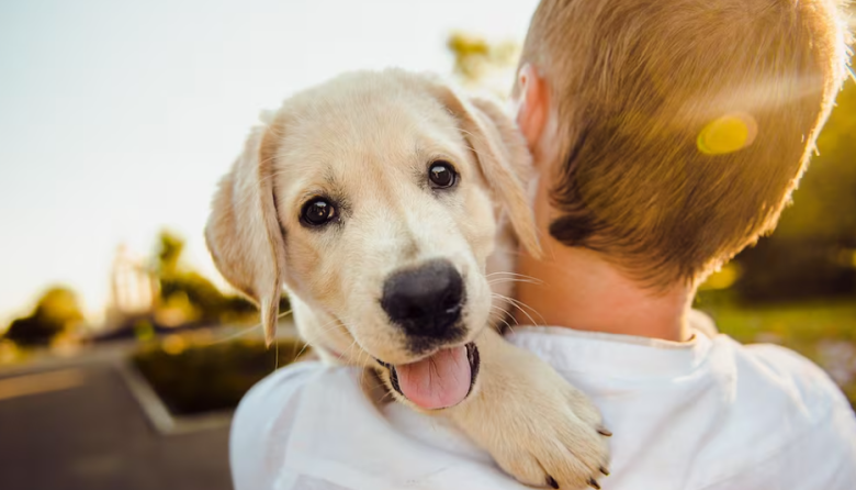 Día Mundial del Perro: cómo tu perro puede salvar tu salud física, mental y emocional