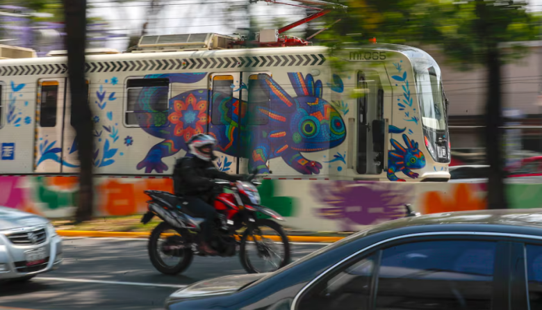 Ajolote invade Mundial 2026 mientras su extinción enciende alarmas en México