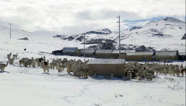Heladas ponen en alerta a siete distritos de Caylloma