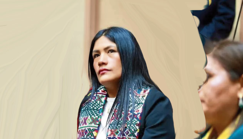 Revelan chats sobre presuntos aportes para gastos en despacho de diputada