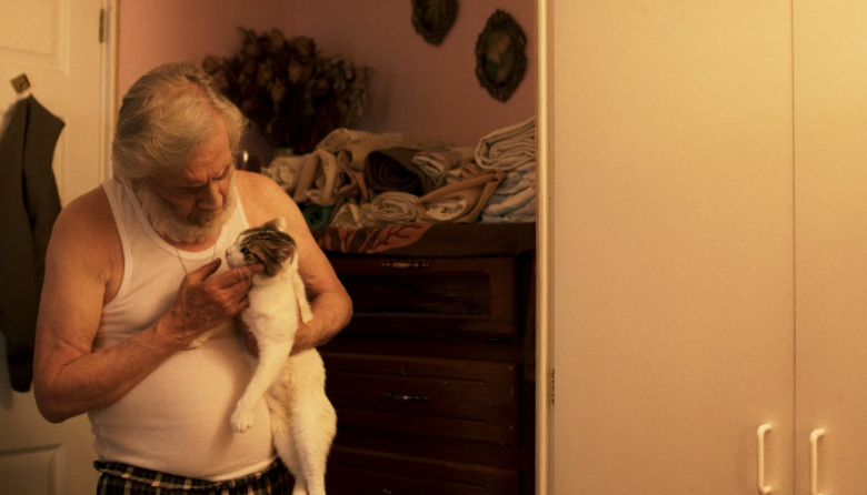 “Simón, el gato testarudo” llega a los cines del Perú este 15 de octubre