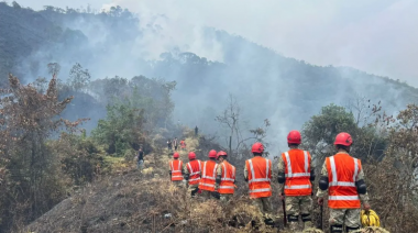 Fuerzas Armadas luchan contra incendios forestales en 16 regiones del país