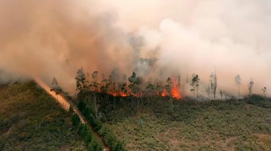 Agricultor pierde la vida intentando sofocar un incendio forestal en Ucayali