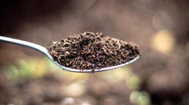 La peligrosa tendencia viral de comer tierra en TikTok: lo que no te dicen