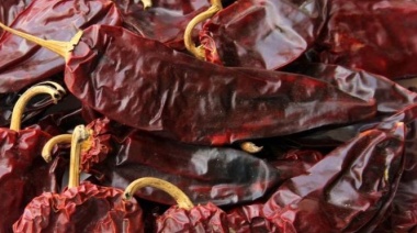 El agro peruano se fortalece: crecimiento del 2,6% en 2024