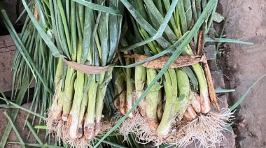 La alarmante presencia de agroquímicos en alimentos expone la salud pública.