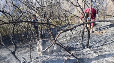 Incendios forestales devastan Huarmaca, Huancabamba y Carmen de la Frontera