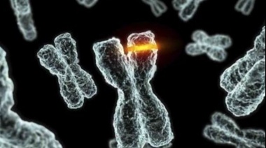 Científico peruano en Stanford descubre mutaciones clave para tratar enfermedades genéticas