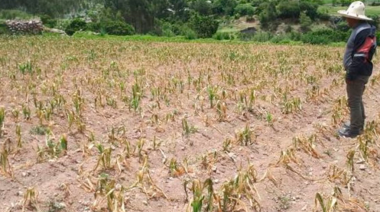 Agricultores de Piura temen el embargo de sus tierras por la crisis hídrica y la imposibilidad de pagar créditos