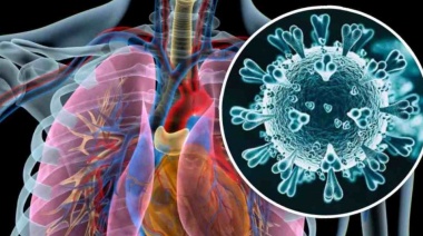 ¿Debe preocuparnos el aumento de infecciones por el metapneumovirus humano (HMPV)?