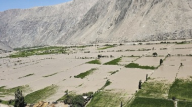 Más de 100 hectáreas de arroz arrasadas por el desborde del río Ocoña