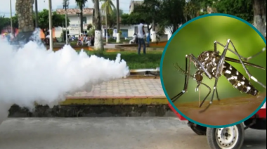 San Martín combate el Dengue: Más de 34,000 viviendas fumigadas y 145 toneladas de criaderos eliminados