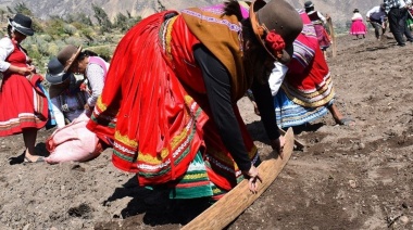 El Sirwiy: La Tradición Cultural de Chachas es Declarada Patrimonio Cultural de la Nación