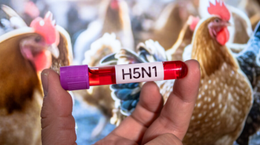 Virólogo alemán advierte que el virus H5N1 podría causar una nueva pandemia