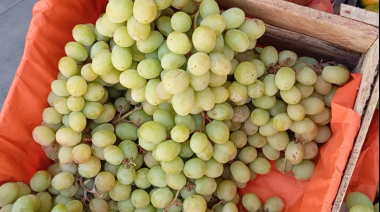 Mercado El Palomar ofrece precios accesibles para la cena de Año Nuevo