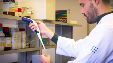 Descubren proteína clave para prevenir el ictus y la trombosis