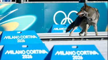 Perro lobo cruza la meta en prueba olímpica y se vuelve viral