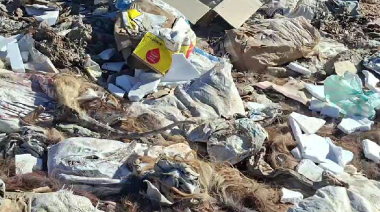 Hallan restos de animales en botadero clandestino cerca de Ruta del Sillar