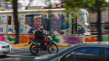 Ajolote invade Mundial 2026 mientras su extinción enciende alarmas en México