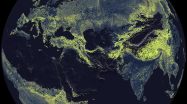 Crean primer mapa global de gigantesca red de hongos subterráneos