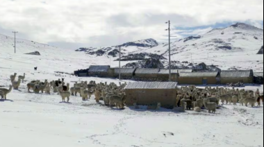 Heladas ponen en alerta a siete distritos de Caylloma