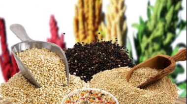 Granos andinos: los superalimentos que fortalecen la seguridad alimentaria