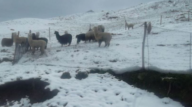 Senamhi alerta fuertes nevadas y vientos en la región Puno