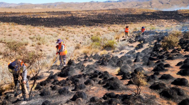 Incendio en Yura afecta flora y fauna de reserva