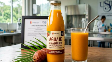 Peruanos patentan tecnología que mejora bebidas elaboradas con aguaje
