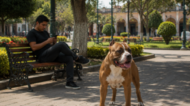 Perro suelto, dueño en aprietos: Cobra los daños
