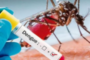 San Martín reporta más de 6,000 casos de dengue y refuerza medidas contra el brote