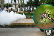 San Martín combate el Dengue: Más de 34,000 viviendas fumigadas y 145 toneladas de criaderos eliminados