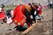 El Sirwiy: La Tradición Cultural de Chachas es Declarada Patrimonio Cultural de la Nación