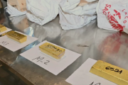 Golpe a la minería ilegal: incautan 24 kilos de oro y detienen a 14 integrantes de red criminal 'Kilates'