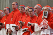 Cardenales coinciden en elegir a un papa que continúe el legado de Francisco: “Es una herencia que no podemos perder”