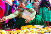 Puno va por récord Guinness con el Qoqawi más largo del mundo