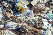 Hallan restos de animales en botadero clandestino cerca de Ruta del Sillar