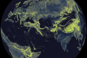 Crean primer mapa global de gigantesca red de hongos subterráneos