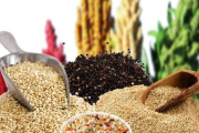 Granos andinos: los superalimentos que fortalecen la seguridad alimentaria