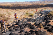 Incendio en Yura afecta flora y fauna de reserva