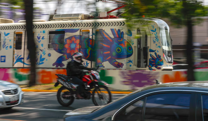 Ajolote invade Mundial 2026 mientras su extinción enciende alarmas en México