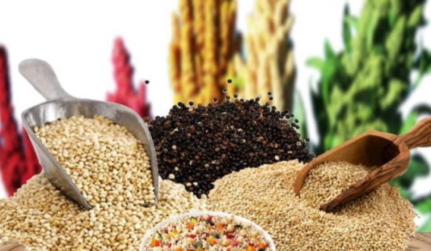 Granos andinos: los superalimentos que fortalecen la seguridad alimentaria