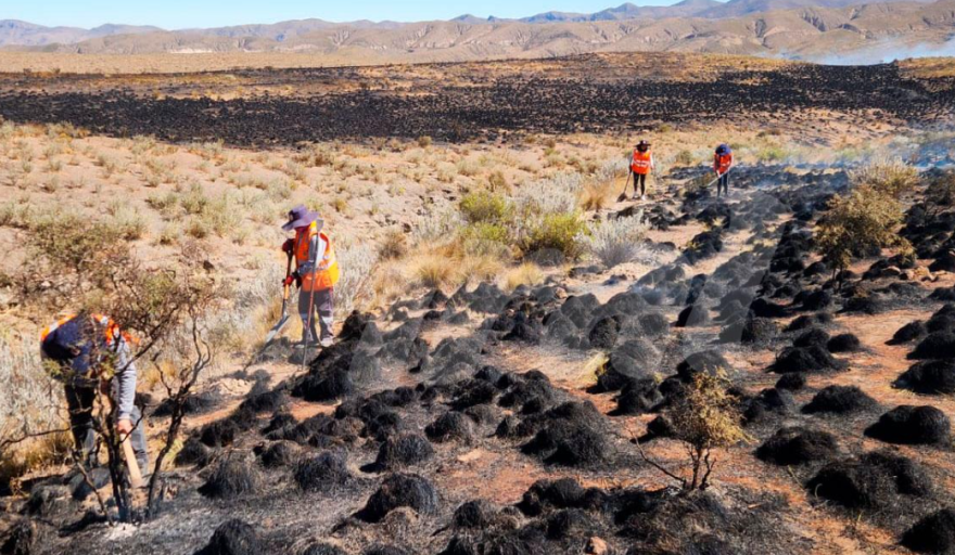 Incendio en Yura afecta flora y fauna de reserva